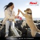 flexi® Neon S 5 m Black Neon Green Strap Reflective Side Panel Roll Lead for Dogs up to 15 kg flexi® Neon S 5 m Black Neon Green Strap Reflective Side Panel Roll Lead for Dogs up to 15 kg