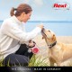 flexi® Neon S 5 m Black Neon Green Strap Reflective Side Panel Roll Lead for Dogs up to 15 kg flexi® Neon S 5 m Black Neon Green Strap Reflective Side Panel Roll Lead for Dogs up to 15 kg