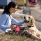 flexi New Classic M Lead For Dogs Up To 25 kg, 5 m, Pink