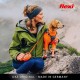 flexi® Xtreme M Belt 5 m Black Extremely Bite-Resistant Orange Belt Extra Robust Roll Lead for Dogs up to 35 kg flexi® Xtreme M Belt 5 m Black Extremely Bite-Resistant Orange Belt Extra Robust Roll Lead for Dogs up to 35 kg