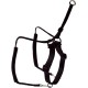 hunter Side by Side training harness