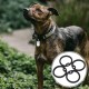 iplusmile Pack of 8 Dog Shield Covers Round Military Dog ID Tag Rubber for Military Dog Brand Silicone Dogtag Sound Player (Black) iplusmile Pack of 8 Dog Shield Covers Round Military Dog ID Tag Rubber for Military Dog Brand Silicone Dogtag Sound Player (Black)