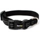 lionto Durable Nylon Dog Collar, Extra Small, Soft Padded Collar for Dogs, 360° Reflective & Click Closure, Metal Ring & Adjustment by Continuous Slider, Beige