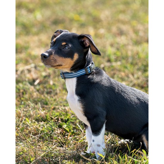 lionto Durable Nylon Dog Collar, Extra Small, Soft Padded Collar for Dogs, 360° Reflective & Click Closure, Metal Ring & Adjustment by Continuous Slider, Beige lionto Durable Nylon Dog Collar, Extra Small, Soft Padded Collar for Dogs, 360° Reflective & Click Closure, Metal Ring & Adjustment by Continuous Slider, Beige