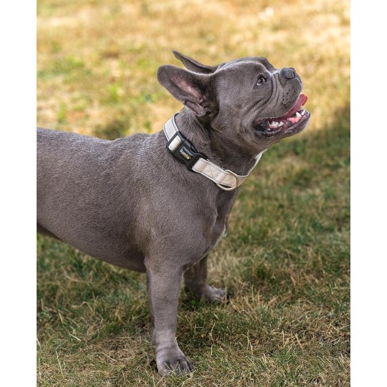 lionto Durable Nylon Dog Collar, Extra Small, Soft Padded Collar for Dogs, 360° Reflective & Click Closure, Metal Ring & Adjustment by Continuous Slider, Beige lionto Durable Nylon Dog Collar, Extra Small, Soft Padded Collar for Dogs, 360° Reflective & Click Closure, Metal Ring & Adjustment by Continuous Slider, Beige