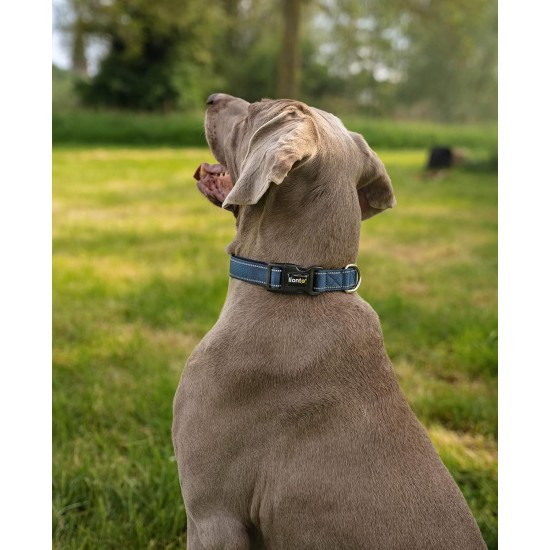 lionto Durable Nylon Dog Collar, Extra Small, Soft Padded Collar for Dogs, 360° Reflective & Click Closure, Metal Ring & Adjustment by Continuous Slider, Beige lionto Durable Nylon Dog Collar, Extra Small, Soft Padded Collar for Dogs, 360° Reflective & Click Closure, Metal Ring & Adjustment by Continuous Slider, Beige
