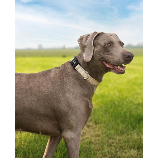 lionto Durable Nylon Dog Collar, Extra Small, Soft Padded Collar for Dogs, 360° Reflective & Click Closure, Metal Ring & Adjustment by Continuous Slider, Beige lionto Durable Nylon Dog Collar, Extra Small, Soft Padded Collar for Dogs, 360° Reflective & Click Closure, Metal Ring & Adjustment by Continuous Slider, Beige