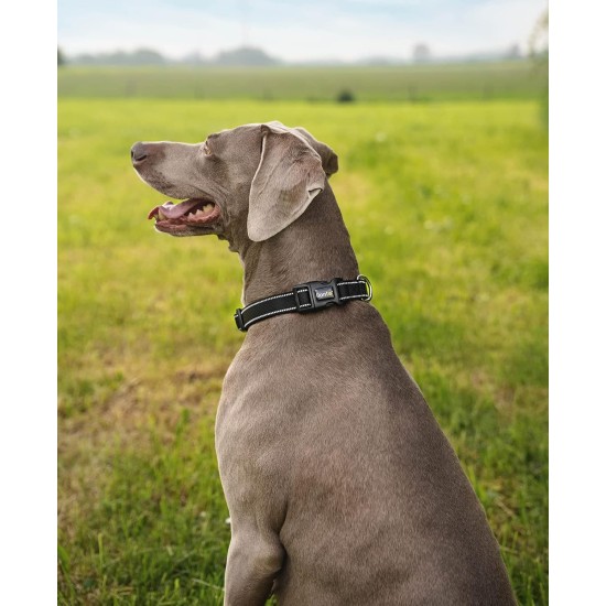 lionto Durable Nylon Dog Collar, Extra Small, Soft Padded Collar for Dogs, 360° Reflective & Click Closure, Metal Ring & Adjustment by Continuous Slider, Beige lionto Durable Nylon Dog Collar, Extra Small, Soft Padded Collar for Dogs, 360° Reflective & Click Closure, Metal Ring & Adjustment by Continuous Slider, Beige