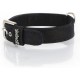 youpet NY Basic Dog Collar youpet NY Basic Dog Collar