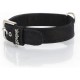 youpet NY Basic Dog Collar youpet NY Basic Dog Collar