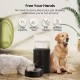 7L Stainless Steel Pet Water Dispenser, Large Capacity Gravity Pet Drinker, No Electricity & Ultra Silent Automatic Water Dispenser for Large Dogs/Multi-Cat Household, Black 7L Stainless Steel Pet Water Dispenser, Large Capacity Gravity Pet Drinker, No Electricity & Ultra Silent Automatic Water Dispenser for Large Dogs/Multi-Cat Household, Black