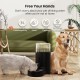 7L Stainless Steel Pet Water Dispenser, Large Capacity Gravity Pet Drinker, No Electricity & Ultra Silent Automatic Water Dispenser for Large Dogs/Multi-Cat Household, Black 7L Stainless Steel Pet Water Dispenser, Large Capacity Gravity Pet Drinker, No Electricity & Ultra Silent Automatic Water Dispenser for Large Dogs/Multi-Cat Household, Black