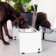 ARC Dog Bar Raised Feeding Station Stainless Steel and Steel (Grey, XL) ARC Dog Bar Raised Feeding Station Stainless Steel and Steel (Grey, XL)