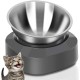 AYADA Raised Cat Bowl Stainless Steel Cat Food and Water Anti Vomiting Raised with Stand Ergonomic Raised Slant Tilted 15 Angle Metal Single Bowl Kitten