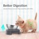 AYADA Raised Cat Bowl Stainless Steel Cat Food and Water Anti Vomiting Raised with Stand Ergonomic Raised Slant Tilted 15 Angle Metal Single Bowl Kitten