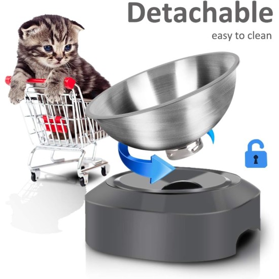 AYADA Raised Cat Bowl Stainless Steel Cat Food and Water Anti Vomiting Raised with Stand Ergonomic Raised Slant Tilted 15 Angle Metal Single Bowl Kitten AYADA Raised Cat Bowl Stainless Steel Cat Food and Water Anti Vomiting Raised with Stand Ergonomic Raised Slant Tilted 15 Angle Metal Single Bowl Kitten