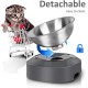 AYADA Raised Cat Bowl Stainless Steel Cat Food and Water Anti Vomiting Raised with Stand Ergonomic Raised Slant Tilted 15 Angle Metal Single Bowl Kitten