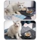 AYADA Raised Cat Bowl Stainless Steel Cat Food and Water Anti Vomiting Raised with Stand Ergonomic Raised Slant Tilted 15 Angle Metal Single Bowl Kitten