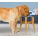 Adjustable Dog Bowl Stand - Raised Raised Pet Bowl Holder - Width (Extendable 7-10") - Natural Bamboo Adjustable Dog Bowl Stand - Raised Raised Pet Bowl Holder - Width (Extendable 7-10") - Natural Bamboo
