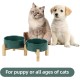 Adjustable Raised Double Bowl Set Ceramic with Stand, 2 Heights Elevated Food and Water Bowls for Puppies, Cats, Kittens, Weighted Dog Bowls (5.1 inch, 13 oz, Grey) Adjustable Raised Double Bowl Set Ceramic with Stand, 2 Heights Elevated Food and Water Bowls for Puppies, Cats, Kittens, Weighted Dog Bowls (5.1 inch, 13 oz, Grey)