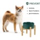 Adjustable Raised Double Bowl Set Ceramic with Stand, 2 Heights Elevated Food and Water Bowls for Puppies, Cats, Kittens, Weighted Dog Bowls (5.1 inch, 13 oz, Grey) Adjustable Raised Double Bowl Set Ceramic with Stand, 2 Heights Elevated Food and Water Bowls for Puppies, Cats, Kittens, Weighted Dog Bowls (5.1 inch, 13 oz, Grey)