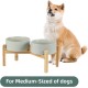 Adjustable Raised Double Bowl Set Ceramic with Stand, 2 Heights Elevated Food and Water Bowls for Puppies, Cats, Kittens, Weighted Dog Bowls (5.1 inch, 13 oz, Grey) Adjustable Raised Double Bowl Set Ceramic with Stand, 2 Heights Elevated Food and Water Bowls for Puppies, Cats, Kittens, Weighted Dog Bowls (5.1 inch, 13 oz, Grey)