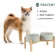 Adjustable Raised Double Bowl Set Ceramic with Stand, 2 Heights Elevated Food and Water Bowls for Puppies, Cats, Kittens, Weighted Dog Bowls (5.1 inch, 13 oz, Grey) Adjustable Raised Double Bowl Set Ceramic with Stand, 2 Heights Elevated Food and Water Bowls for Puppies, Cats, Kittens, Weighted Dog Bowls (5.1 inch, 13 oz, Grey)