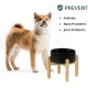 Adjustable Raised Double Bowl Set Ceramic with Stand, 2 Heights Elevated Food and Water Bowls for Puppies, Cats, Kittens, Weighted Dog Bowls (5.1 inch, 13 oz, Grey) Adjustable Raised Double Bowl Set Ceramic with Stand, 2 Heights Elevated Food and Water Bowls for Puppies, Cats, Kittens, Weighted Dog Bowls (5.1 inch, 13 oz, Grey)