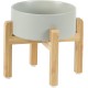Adjustable Raised Double Bowl Set Ceramic with Stand, 2 Heights Elevated Food and Water Bowls for Puppies, Cats, Kittens, Weighted Dog Bowls (5.1 inch, 13 oz, Grey) Adjustable Raised Double Bowl Set Ceramic with Stand, 2 Heights Elevated Food and Water Bowls for Puppies, Cats, Kittens, Weighted Dog Bowls (5.1 inch, 13 oz, Grey)
