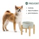 Adjustable Raised Double Bowl Set Ceramic with Stand, 2 Heights Elevated Food and Water Bowls for Puppies, Cats, Kittens, Weighted Dog Bowls (5.1 inch, 13 oz, Grey) Adjustable Raised Double Bowl Set Ceramic with Stand, 2 Heights Elevated Food and Water Bowls for Puppies, Cats, Kittens, Weighted Dog Bowls (5.1 inch, 13 oz, Grey)