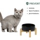 Adjustable Raised Double Bowl Set Ceramic with Stand, 2 Heights Elevated Food and Water Bowls for Puppies, Cats, Kittens, Weighted Dog Bowls (5.1 inch, 13 oz, Grey) Adjustable Raised Double Bowl Set Ceramic with Stand, 2 Heights Elevated Food and Water Bowls for Puppies, Cats, Kittens, Weighted Dog Bowls (5.1 inch, 13 oz, Grey)