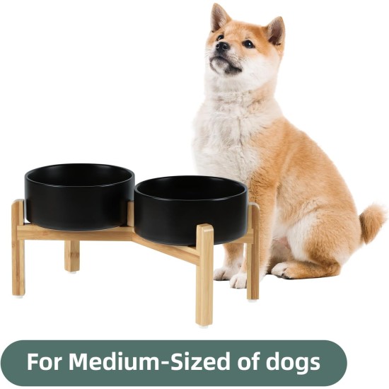 Adjustable Raised Double Bowl Set Ceramic with Stand, 2 Heights Elevated Food and Water Bowls for Puppies, Cats, Kittens, Weighted Dog Bowls (5.1 inch, 13 oz, Grey) Adjustable Raised Double Bowl Set Ceramic with Stand, 2 Heights Elevated Food and Water Bowls for Puppies, Cats, Kittens, Weighted Dog Bowls (5.1 inch, 13 oz, Grey)