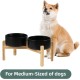 Adjustable Raised Double Bowl Set Ceramic with Stand, 2 Heights Elevated Food and Water Bowls for Puppies, Cats, Kittens, Weighted Dog Bowls (5.1 inch, 13 oz, Grey) Adjustable Raised Double Bowl Set Ceramic with Stand, 2 Heights Elevated Food and Water Bowls for Puppies, Cats, Kittens, Weighted Dog Bowls (5.1 inch, 13 oz, Grey)