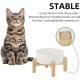 Adjustable Raised Double Bowl Set Ceramic with Stand, 2 Heights Elevated Food and Water Bowls for Puppies, Cats, Kittens, Weighted Dog Bowls (5.1 inch, 13 oz, Grey) Adjustable Raised Double Bowl Set Ceramic with Stand, 2 Heights Elevated Food and Water Bowls for Puppies, Cats, Kittens, Weighted Dog Bowls (5.1 inch, 13 oz, Grey)