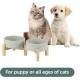 Adjustable Raised Double Bowl Set Ceramic with Stand, 2 Heights Elevated Food and Water Bowls for Puppies, Cats, Kittens, Weighted Dog Bowls (5.1 inch, 13 oz, Grey) Adjustable Raised Double Bowl Set Ceramic with Stand, 2 Heights Elevated Food and Water Bowls for Puppies, Cats, Kittens, Weighted Dog Bowls (5.1 inch, 13 oz, Grey)