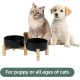 Adjustable Raised Double Bowl Set Ceramic with Stand, 2 Heights Elevated Food and Water Bowls for Puppies, Cats, Kittens, Weighted Dog Bowls (5.1 inch, 13 oz, Grey) Adjustable Raised Double Bowl Set Ceramic with Stand, 2 Heights Elevated Food and Water Bowls for Puppies, Cats, Kittens, Weighted Dog Bowls (5.1 inch, 13 oz, Grey)