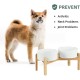 Adjustable Raised Double Bowl Set Ceramic with Stand, 2 Heights Elevated Food and Water Bowls for Puppies, Cats, Kittens, Weighted Dog Bowls (5.1 inch, 13 oz, Grey) Adjustable Raised Double Bowl Set Ceramic with Stand, 2 Heights Elevated Food and Water Bowls for Puppies, Cats, Kittens, Weighted Dog Bowls (5.1 inch, 13 oz, Grey)