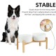 Adjustable Raised Double Bowl Set Ceramic with Stand, 2 Heights Elevated Food and Water Bowls for Puppies, Cats, Kittens, Weighted Dog Bowls (5.1 inch, 13 oz, Grey) Adjustable Raised Double Bowl Set Ceramic with Stand, 2 Heights Elevated Food and Water Bowls for Puppies, Cats, Kittens, Weighted Dog Bowls (5.1 inch, 13 oz, Grey)