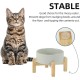 Adjustable Raised Double Bowl Set Ceramic with Stand, 2 Heights Elevated Food and Water Bowls for Puppies, Cats, Kittens, Weighted Dog Bowls (5.1 inch, 13 oz, Grey) Adjustable Raised Double Bowl Set Ceramic with Stand, 2 Heights Elevated Food and Water Bowls for Puppies, Cats, Kittens, Weighted Dog Bowls (5.1 inch, 13 oz, Grey)