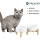 Adjustable Raised Double Bowl Set Ceramic with Stand, 2 Heights Elevated Food and Water Bowls for Puppies, Cats, Kittens, Weighted Dog Bowls (5.1 inch, 13 oz, Grey) Adjustable Raised Double Bowl Set Ceramic with Stand, 2 Heights Elevated Food and Water Bowls for Puppies, Cats, Kittens, Weighted Dog Bowls (5.1 inch, 13 oz, Grey)