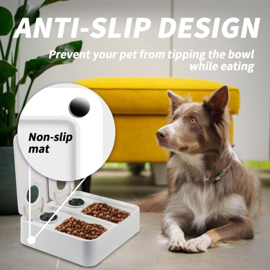 All for Paws Automatic Cat Feeder 2 Meal Dog Feeder, Dry and Wet Food Dispenser with 48-Hour Timer, Ice Pack Included All for Paws Automatic Cat Feeder 2 Meal Dog Feeder, Dry and Wet Food Dispenser with 48-Hour Timer, Ice Pack Included