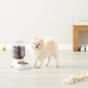 Amazon Basics 2.5 Gallon Dog Food and Water Dispenser Large White Clear Amazon Basics 2.5 Gallon Dog Food and Water Dispenser Large White Clear