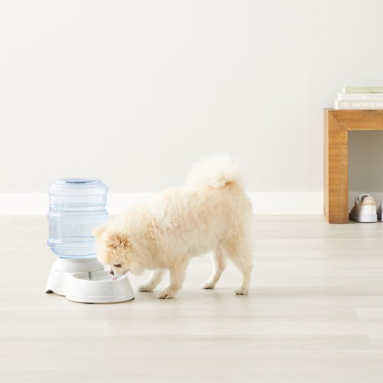 Amazon Basics 2.5 Gallon Dog Food and Water Dispenser Large White Clear Amazon Basics 2.5 Gallon Dog Food and Water Dispenser Large White Clear