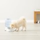 Amazon Basics 2.5 Gallon Dog Food and Water Dispenser Large White Clear Amazon Basics 2.5 Gallon Dog Food and Water Dispenser Large White Clear
