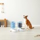 Amazon Basics 2.5 Gallon Dog Food and Water Dispenser Large White Clear Amazon Basics 2.5 Gallon Dog Food and Water Dispenser Large White Clear