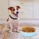 Anseom Pack of 2 Water Bowl for Dog Cages, Feeding Bowls for Pets, Removable Stainless Steel Hanging Water Bowl, Dog Bowl, Hanging for Dogs, Cats, Rabbits and Other Small Animals Anseom Pack of 2 Water Bowl for Dog Cages, Feeding Bowls for Pets, Removable Stainless Steel Hanging Water Bowl, Dog Bowl, Hanging for Dogs, Cats, Rabbits and Other Small Animals