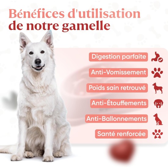 Anti-Glouton Dog Bowl | Slow and Healthy Eating, Promotes Animal Digestion, Anti-Vomiting, Design with Non-Slip Feet, for Pets (Large, Pink) Anti-Glouton Dog Bowl | Slow and Healthy Eating, Promotes Animal Digestion, Anti-Vomiting, Design with Non-Slip Feet, for Pets (Large, Pink)