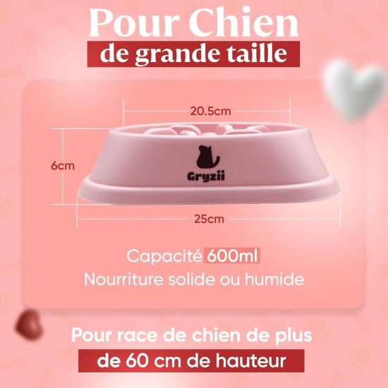 Anti-Glouton Dog Bowl | Slow and Healthy Eating, Promotes Animal Digestion, Anti-Vomiting, Design with Non-Slip Feet, for Pets (Large, Pink) Anti-Glouton Dog Bowl | Slow and Healthy Eating, Promotes Animal Digestion, Anti-Vomiting, Design with Non-Slip Feet, for Pets (Large, Pink)