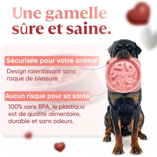 Anti-Glouton Dog Bowl | Slow and Healthy Eating, Promotes Animal Digestion, Anti-Vomiting, Design with Non-Slip Feet, for Pets (Large, Pink) Anti-Glouton Dog Bowl | Slow and Healthy Eating, Promotes Animal Digestion, Anti-Vomiting, Design with Non-Slip Feet, for Pets (Large, Pink)