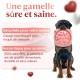 Anti-Glouton Dog Bowl | Slow and Healthy Eating, Promotes Animal Digestion, Anti-Vomiting, Design with Non-Slip Feet, for Pets (Large, Pink) Anti-Glouton Dog Bowl | Slow and Healthy Eating, Promotes Animal Digestion, Anti-Vomiting, Design with Non-Slip Feet, for Pets (Large, Pink)